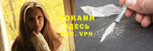 соль ск Богородск