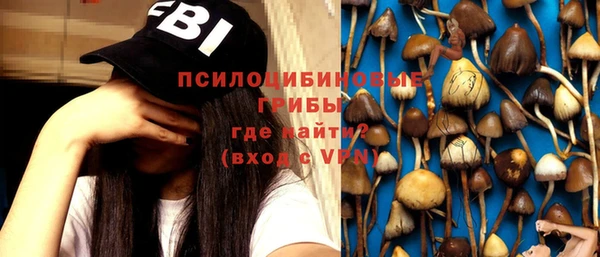 хмурый Богданович