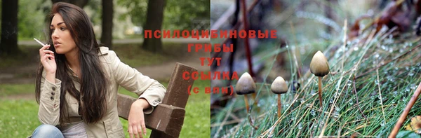 хмурый Богданович