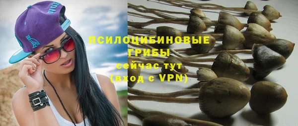 хмурый Богданович