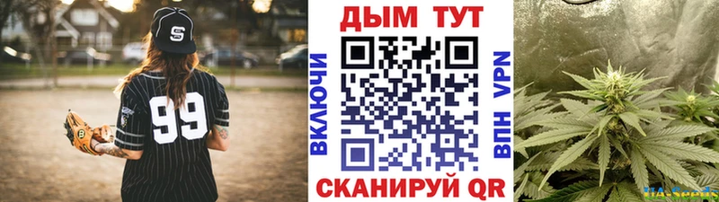 где купить наркотик  Кизилюрт  Канабис конопля 